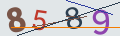 verifycode